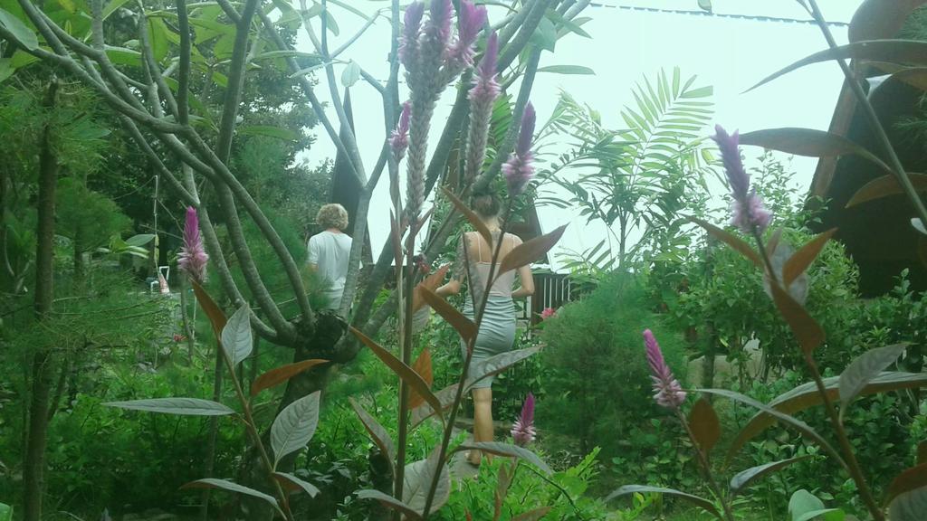 Pondok Anjani Gili Meno Exterior foto